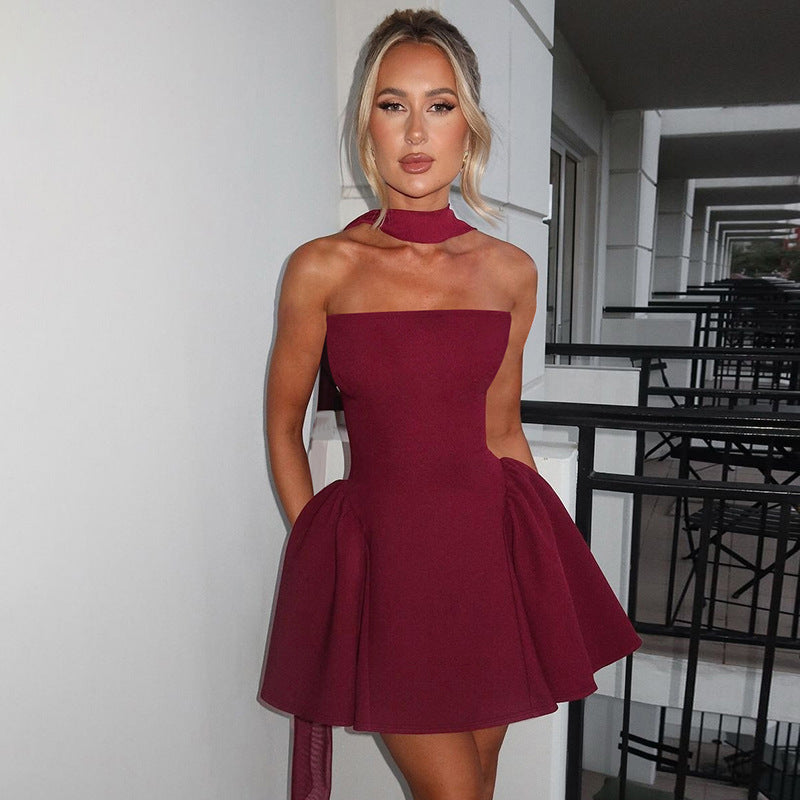 "TikTok's Hottest Dress: Sexy Tube Top with Back Zipper for Party Queens"